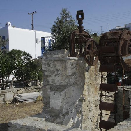 Vienoula's Garden Hotel Mykonos Town Exterior foto