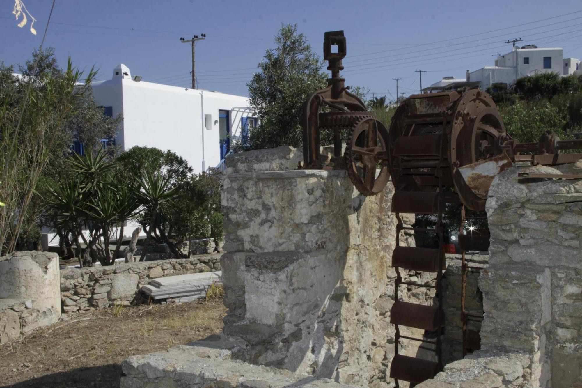 Vienoula's Garden Hotel Mykonos Town Exterior foto